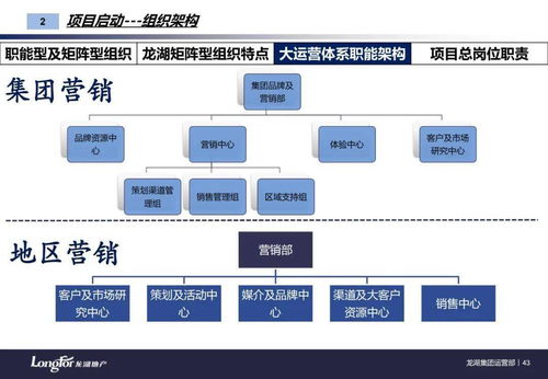 标杆 龙湖集团房地产全周期运营管理