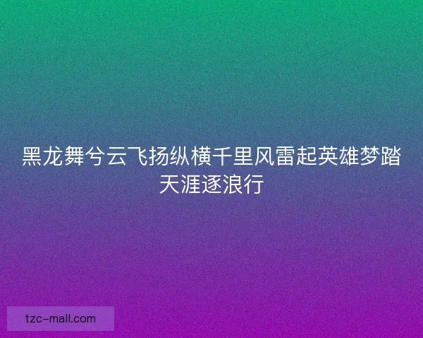 黑龙舞兮云飞扬纵横千里风雷起英雄梦踏天涯逐浪行