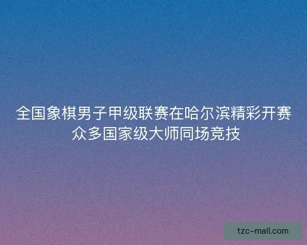 全国象棋男子甲级联赛在哈尔滨精彩开赛 众多国家级大师同场竞技
